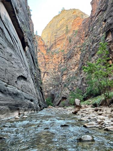 The Narrows, Zion National Park