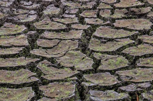 Another definition of Earth Porn, Buurse Nederland