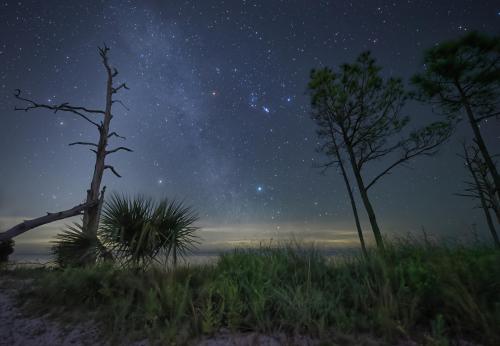 Orion and the Zodiacal Light in North Florida