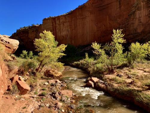 A River Runs Through It. Southern Utah