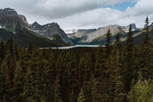 Hector Lake, Banff National Park, Alberta, Canada  []