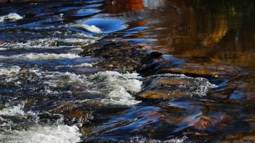 Chippewa River, Mount Pleasant, Michigan