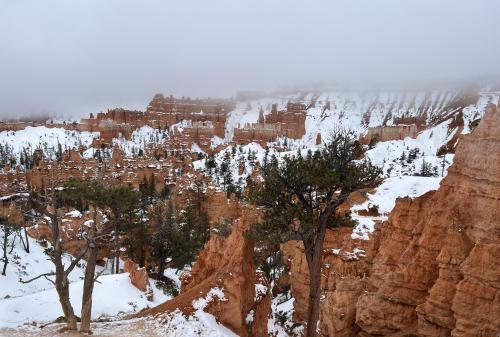 A Snowy and Foggy Afternoon in Bryce Canyon, UT