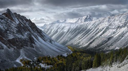 Fresh Snow In The Canadian Rockies, Kananaskis, Alberta