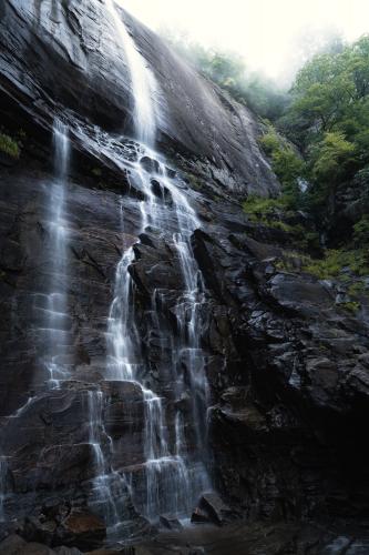 Moody morning in the Blue Ridge, NC