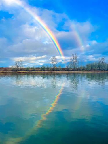 Double Rainbow Reflection, 3024*4032, Portland Or