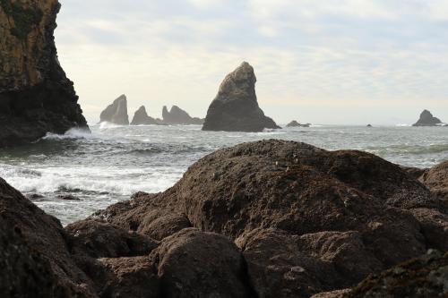 Sea Stacks - Shi Shi Beach, Neah Bay, WA