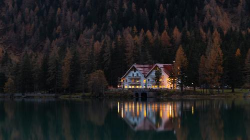Peace is here. House in the heart of forest