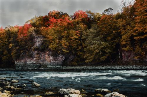 Cedar River at Palisades-Kepler. State Park, IA