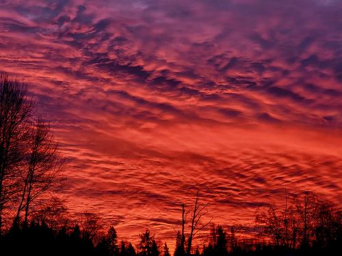 Dramatic Sunrise in Marysville, WA