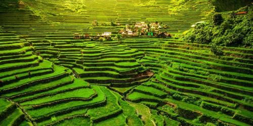 Batad village rice terraces, Ifugao, Philippines