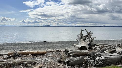 Discovery Park Beach - Seattle Washington