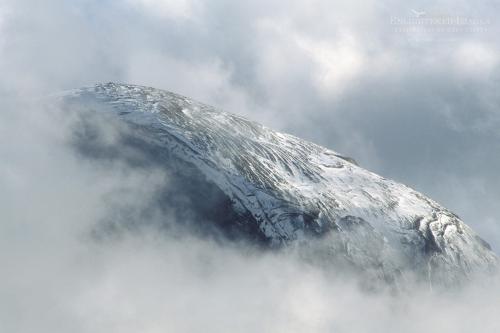 Just a little slice of earth: Half Dome, Yosemite Valley, CA.