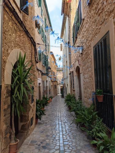 A tiny magical looking alley in Sóller, Spain