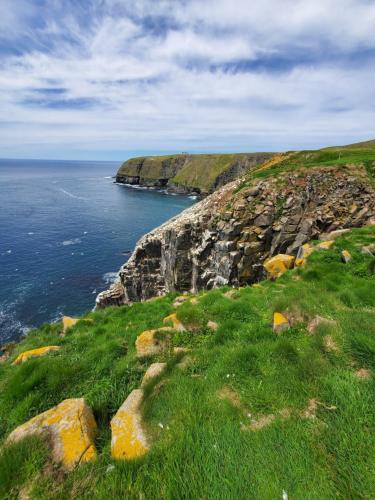 Cape St. Mary's Newfoundland