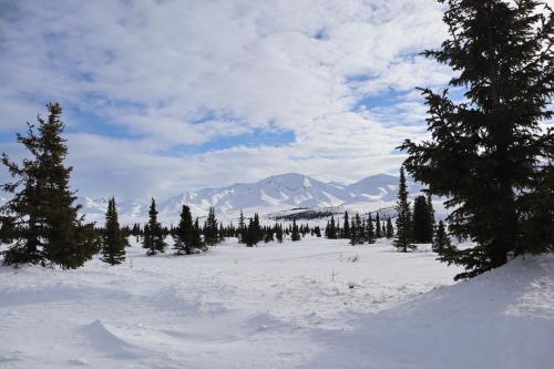 Breathtaking Snow-blanketed Mountains in Denali State Park, Alaska