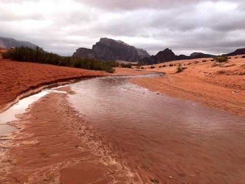 After a night long rain in Wadi Rum, Jordan [4032×3024]