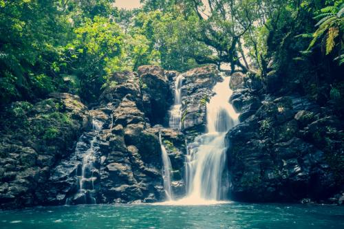 90min hike to this waterfall in the middle of the jungle. Taveuni island, Fiji.