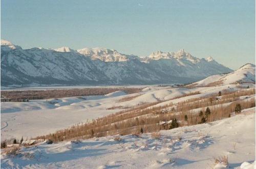 Jackson hole , Wy , USA