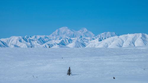 Denali view from Broad Pass