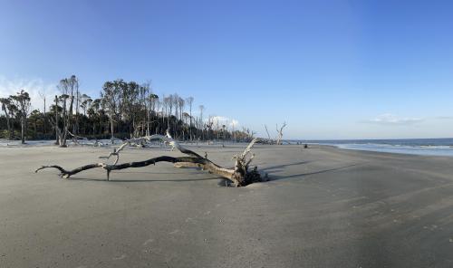 Capers Island, SC