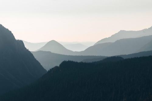 Smokey landscape, Mt. Rainier National Park, Washington  @itk.jpeg