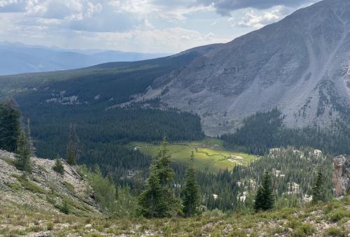 Sun-Soaked Meadow, Silverthorne, Colorado [3761 x 2550]