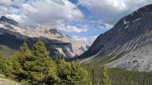 Sculpted mountains along the Icefields Parkway, Banff NP, Canada