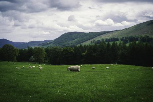 Blair Atholl, Scotland