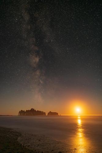 Olympic National Park Coast, Washington