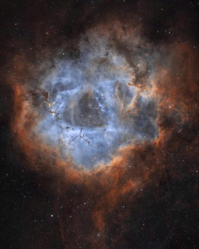 Rosette Nebula🌹