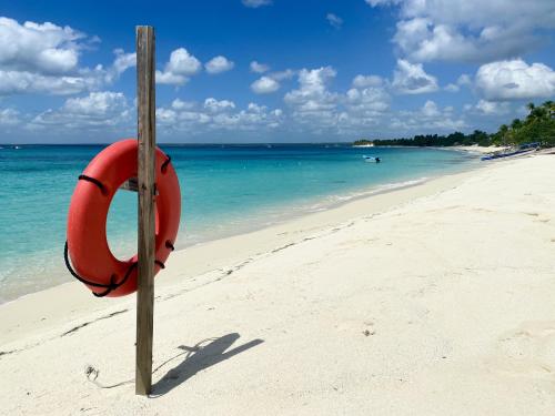 Isla Catalina, Dominican Republic