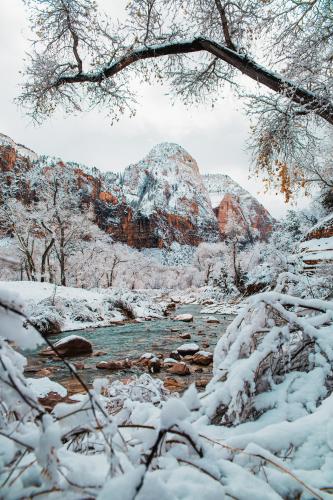 Zion national park