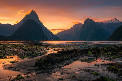 Milford Sound, South Island, New Zealand