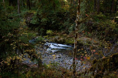 Just a typical meandering creek scene in Oregon,