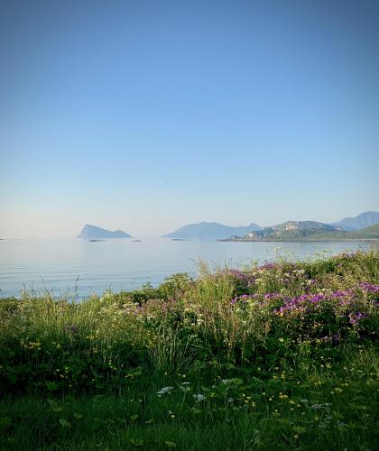 View from Hekkingen island, Troms, Norway