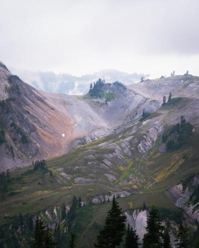 The beauty surrounding Mt. Baker.