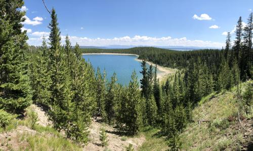 Wyoming, USA, or somewhere on the way to Old Faithful.