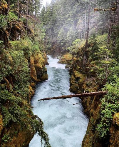 Mount rainier national park is truly a magical place.