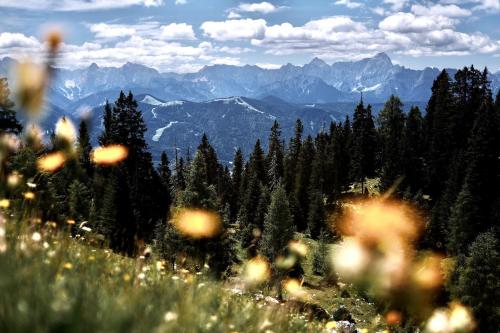 Hiking in Austria - SOOC