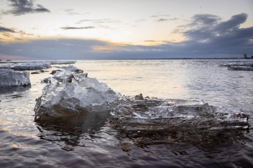 Last spring ice floes