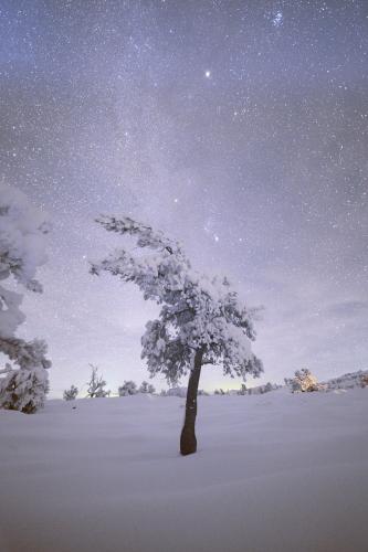 The Winter Milky Way over a snowy tree at Craters of the Moon, Idaho