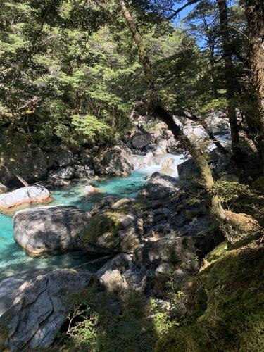 Routeburn track New Zealand