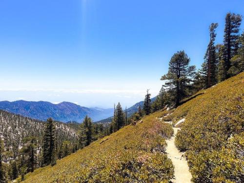 Trail to San Gorgonio in Southern California