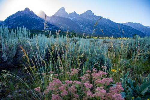 Sunset at Grand Teton National Park, Wyoming, USA