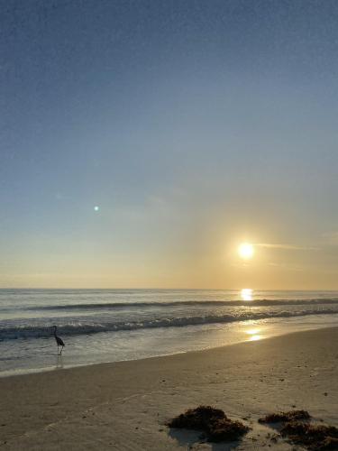 Sunrise at Playalinda Beach yesterday