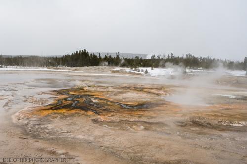 Black Sands Geyser Basin in Southern Yellowstone