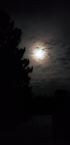 4am moon in northern Wisconsin.