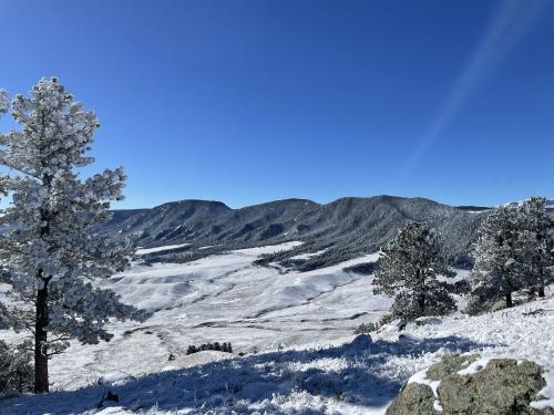 Bighorn National Forrest, Wyoming, USA