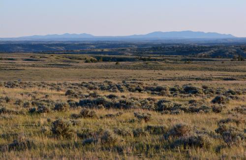 American Prairie Reserve, Central Montana, USA